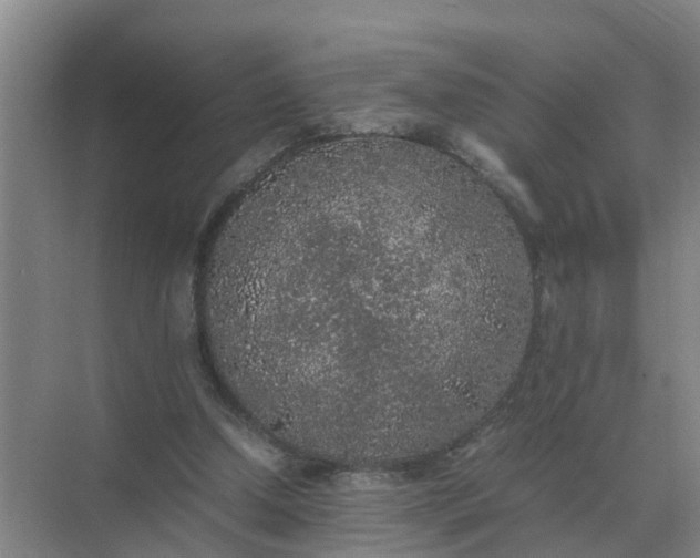 X0000074970250200609152130