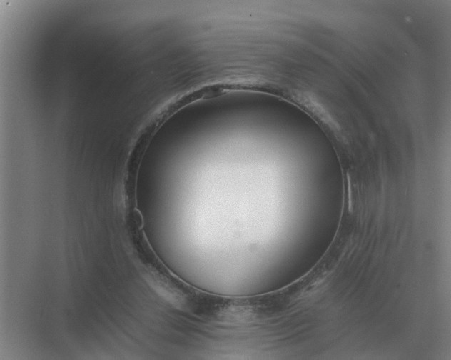 X0000074970252200609152130