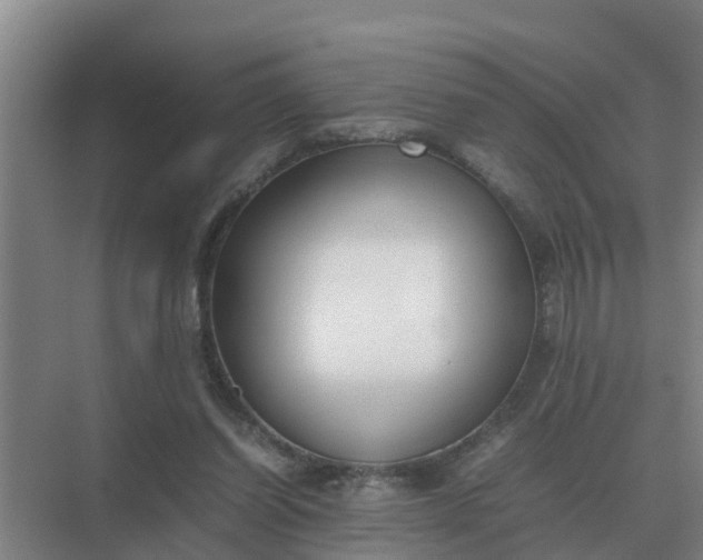 X0000074970254200609152130