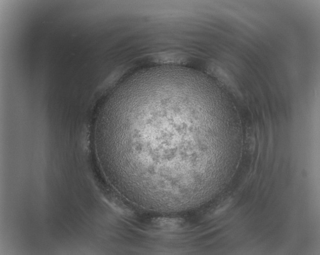 X0000074970255200609152130