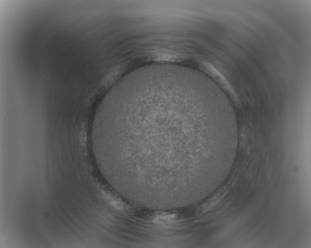 X0000074970257200609152130