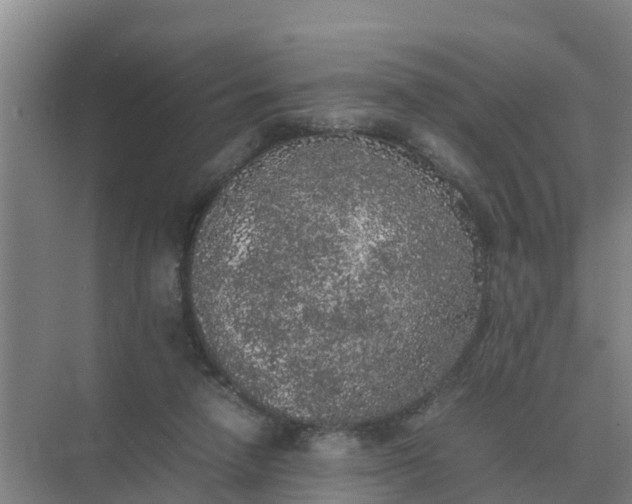 X0000074970258200609152130