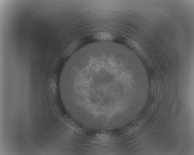 X0000074970259200609152130