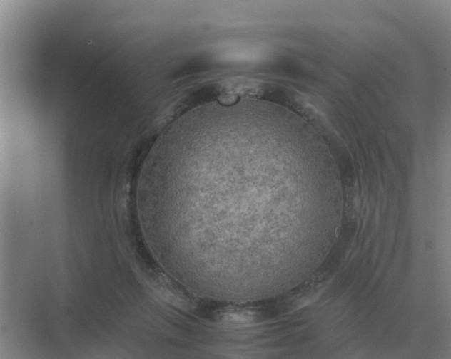 X0000074970263200609152130