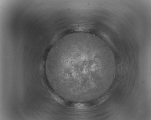 X0000074970265200609152130