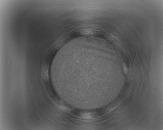 X0000074970267200609152130