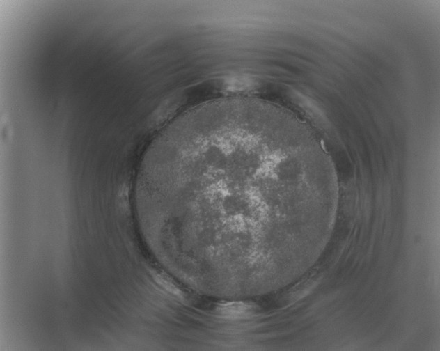 X0000074970269200609152130