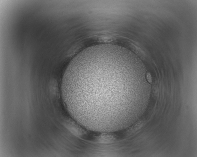 X0000074970270200609152130