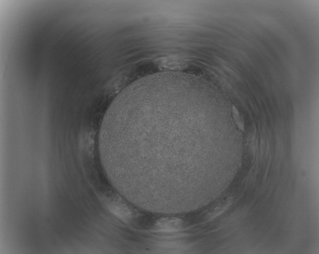 X0000074970271200609152130