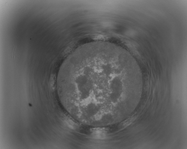 X0000074970273200609152130