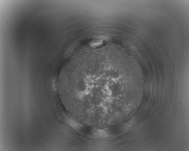 X0000074970285200609152130