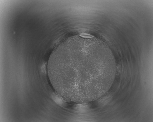 X0000074970286200609152130