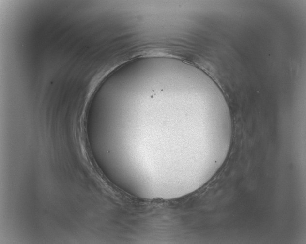 X0000074970289200609152130