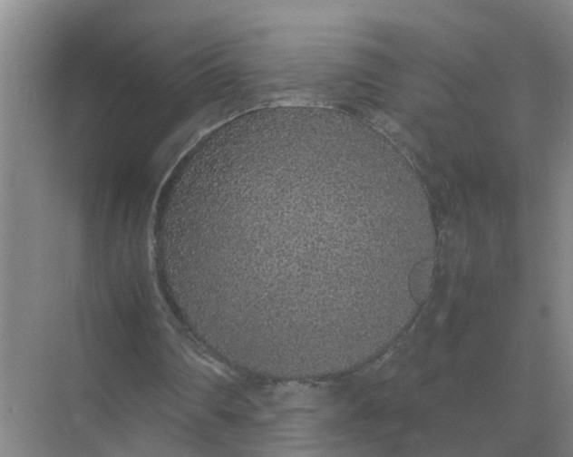 X0000074970290200609152130