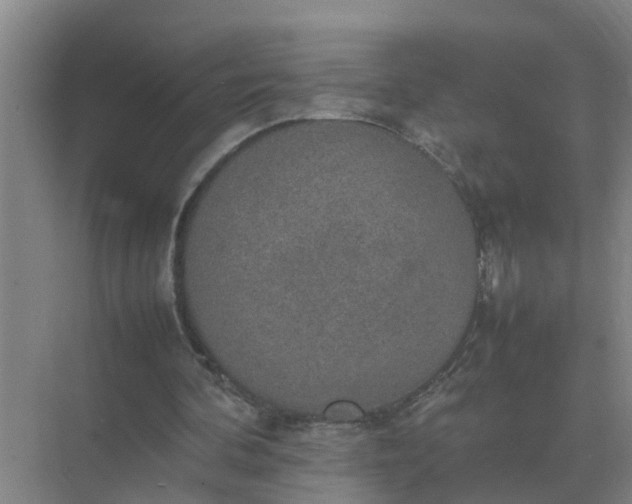 X0000074970292200609152129