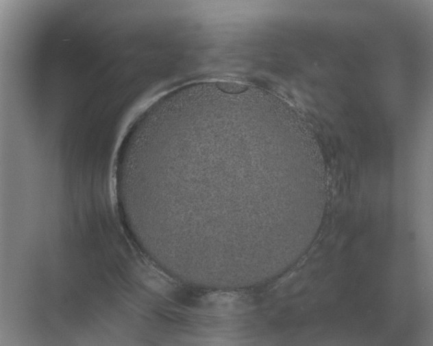 X0000074970294200609152129