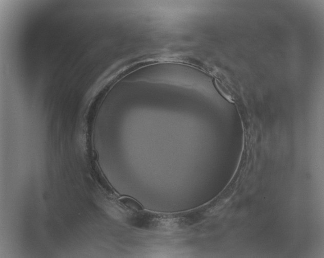 X0000074970295200609152129