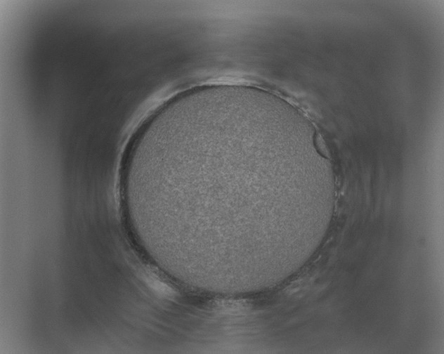 X0000074970296200609152129