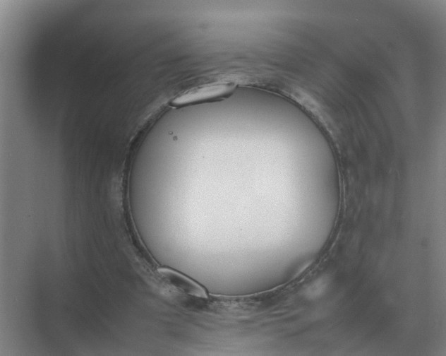 X0000074970297200609152129