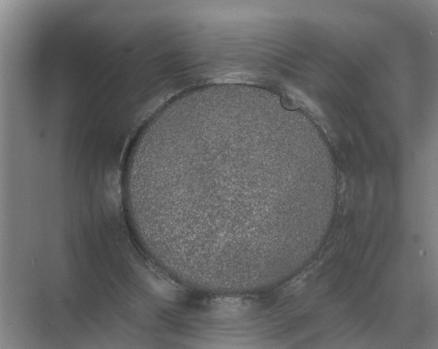 X0000074970298200609152129