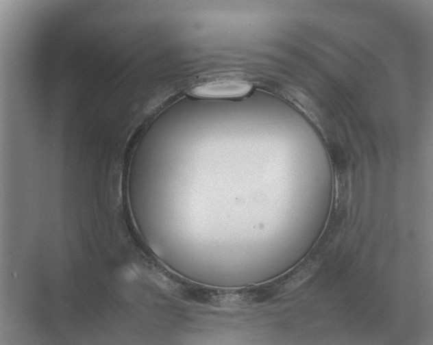 X0000074970301200609152129