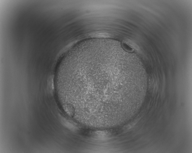 X0000074970302200609152129