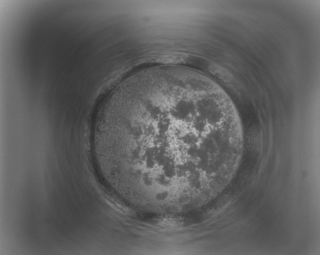 X0000074970303200609152129