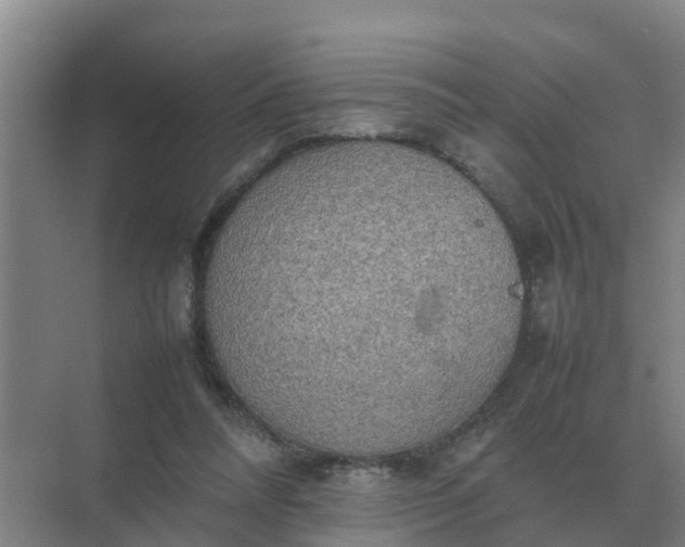 X0000074970304200609152129