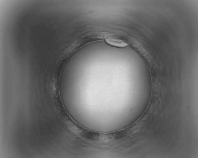 X0000074970305200609152129