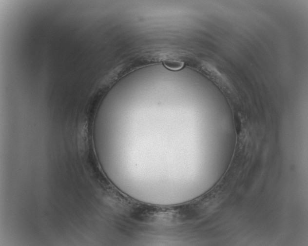 X0000074970306200609152129