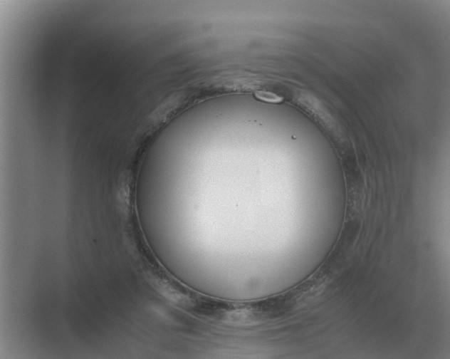 X0000074970309200609152129