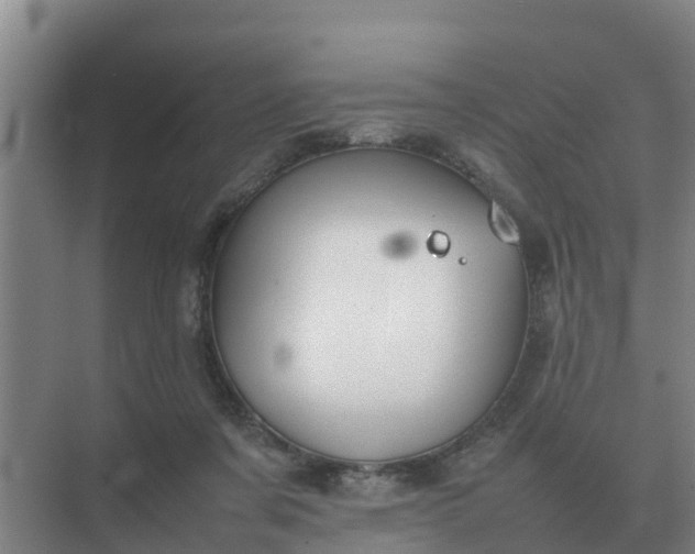 X0000074970311200609152129