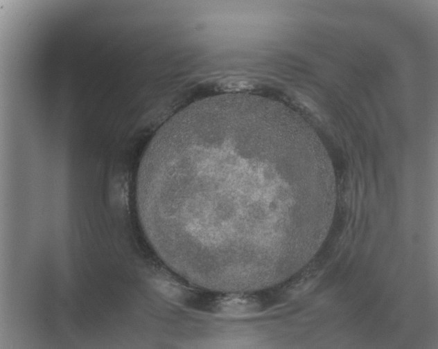 X0000074970315200609152129