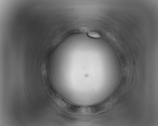 X0000074970317200609152129