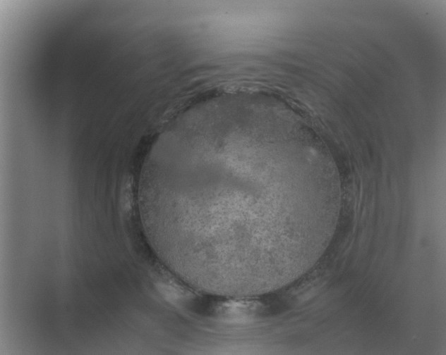 X0000074970323200609152129