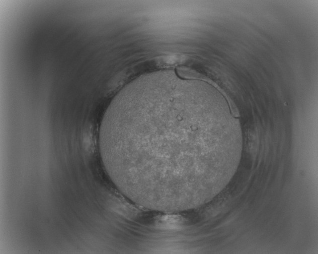 X0000074970324200609152129