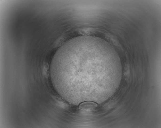 X0000074970332200609152129