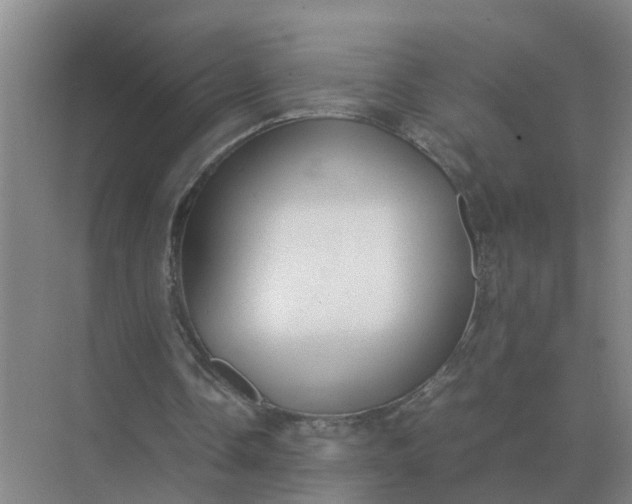 X0000074970338200609152128