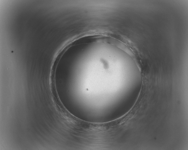 X0000074970340200609152128