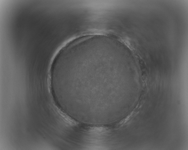 X0000074970342200609152128