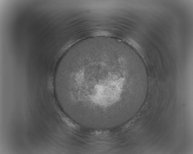 X0000074970345200609152128