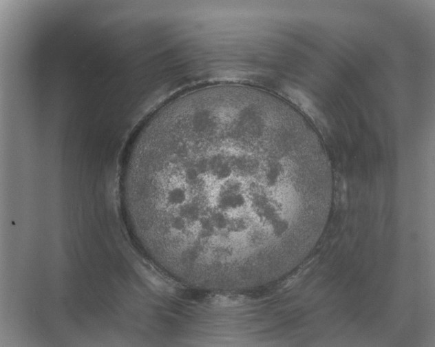 X0000074970346200609152128