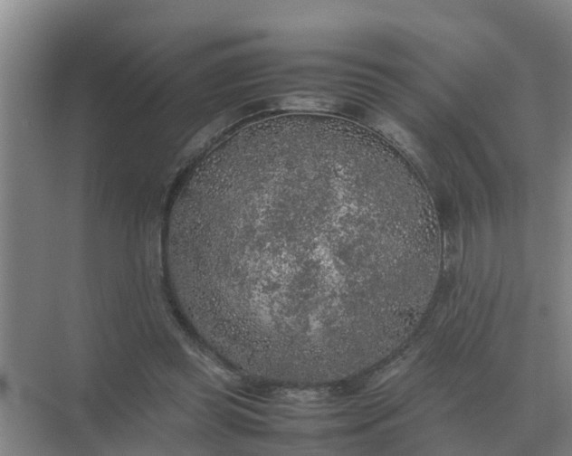 X0000074970349200609152128