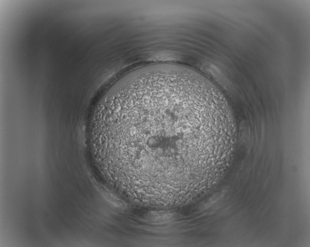 X0000074970351200609152128