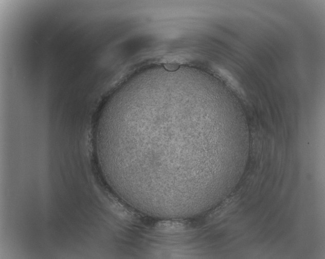 X0000074970354200609152128