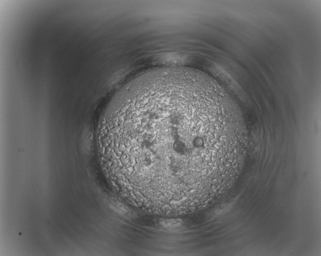 X0000074970355200609152128