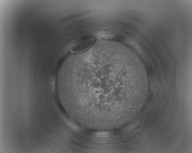 X0000074970357200609152128