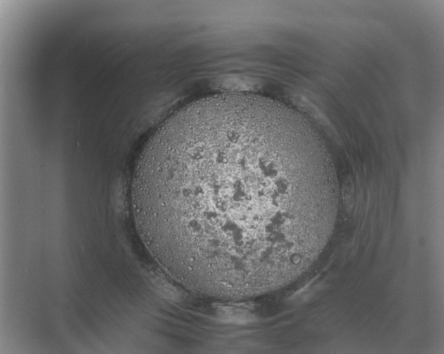 X0000074970359200609152128