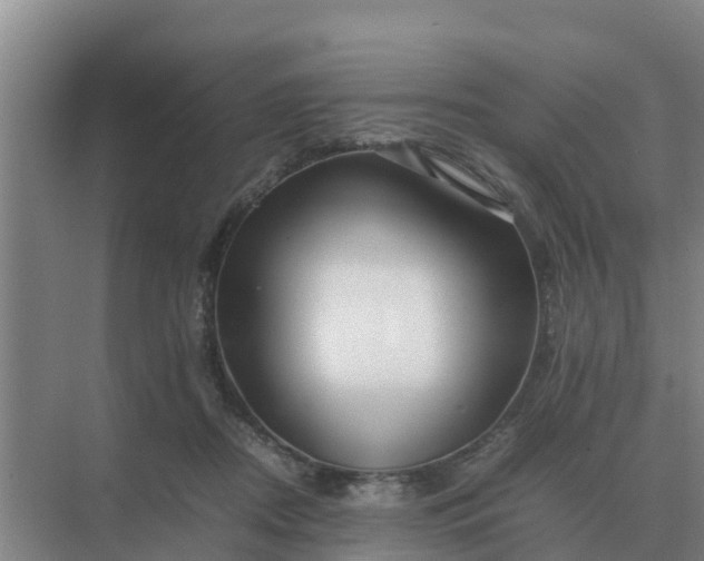 X0000074970362200609152128