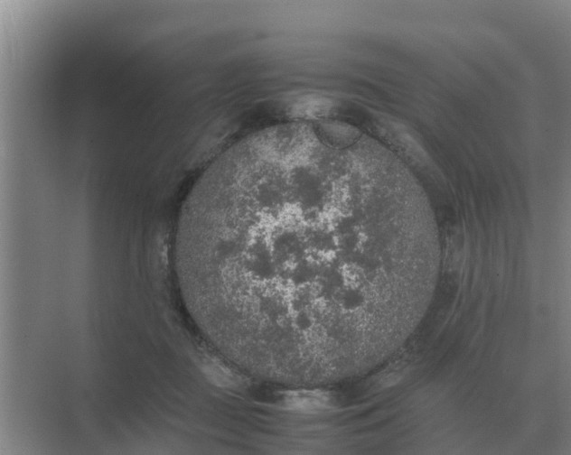 X0000074970363200609152128